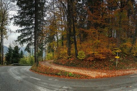 Panorama of a bend in an autumn road
