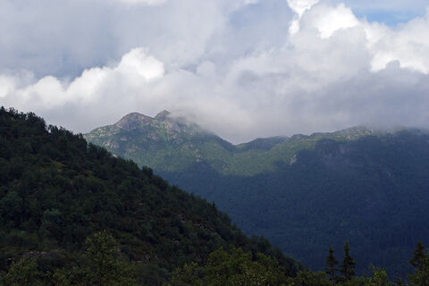 Clouds over a forested ridge