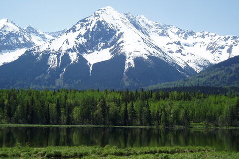 Snowy peak above a dark forest